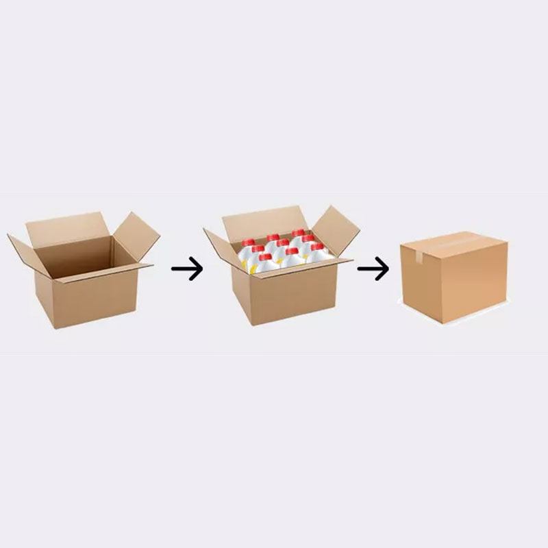 Carton Packaging Machine